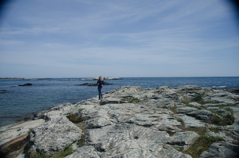 DSC_2902.jpg - King's Beach, Ocean Drive, Newport