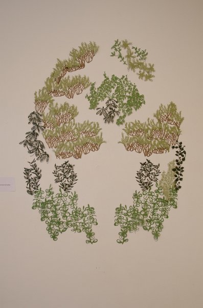 Providence060211-3434.jpg - Liz Anna Kozik, BFA Printmaking 2011, "Woods-Gerry West Grounds Roundel," Cut Paper