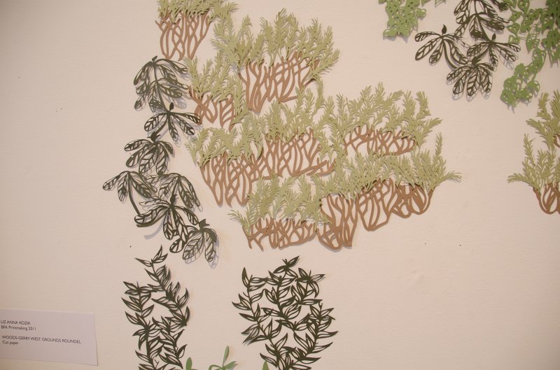 Providence060211-3443.jpg - Liz Anna Kozik, BFA Printmaking 2011, "Woods-Gerry West Grounds Roundel," Cut Paper