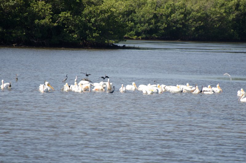 Sanibel022611-1497.jpg - Bike ride through Ding Darling