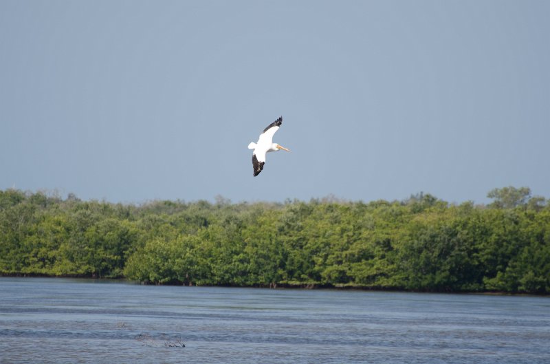 Sanibel022611-1506.jpg - Bike ride through Ding Darling