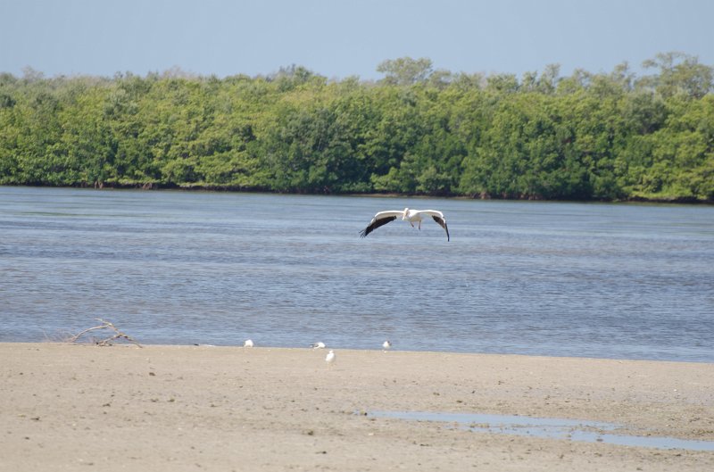 Sanibel022611-1512.jpg - Bike ride through Ding Darling