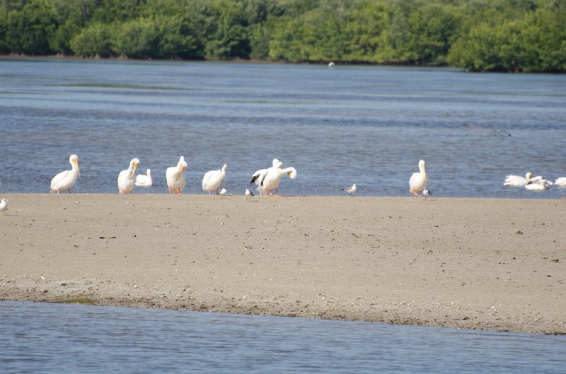 Sanibel022611-1521.jpg - Bike ride through Ding Darling