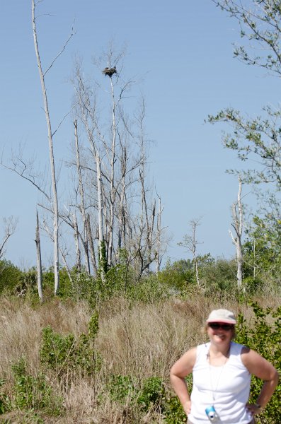 Sanibel022611-1615.jpg - Eagle Nest on Gulf Pine Road. Tiny spec top center edge of picture