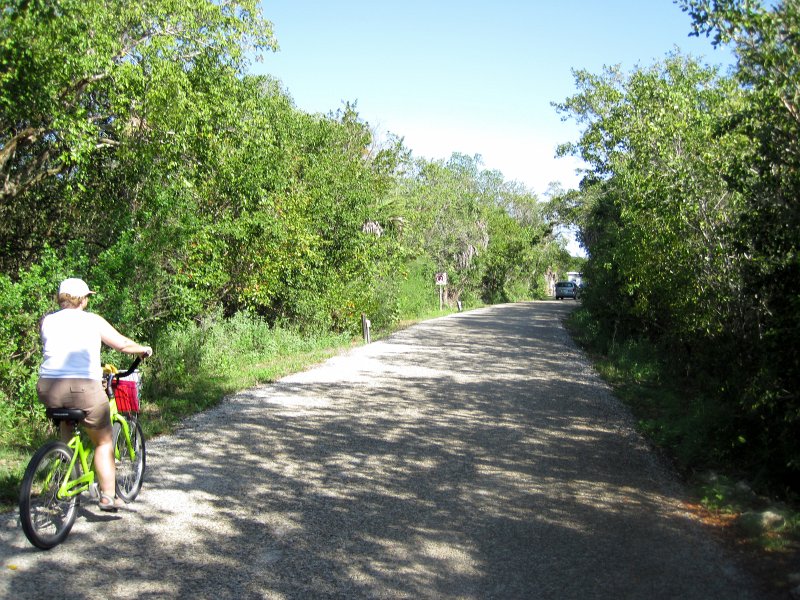 Sanibel022611-2303.jpg - Ding Darling Wildlife Drive