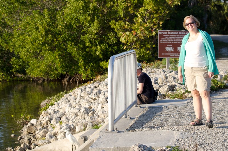 Sanibel022611-0995.jpg - Ding Darling Wildlife Drive