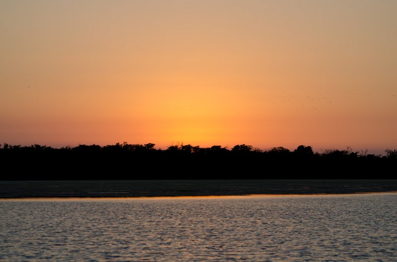 Sanibel022611-1254.jpg - Sunset drive through Ding Darling Wildlife Refuge