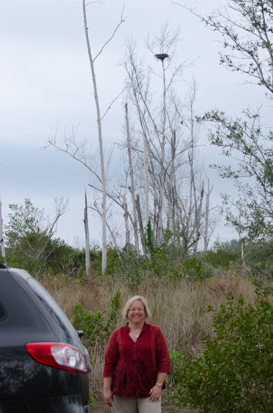 Sanibel022611-1371.jpg - Eagle Nest on Gulf Pine Road