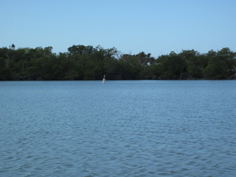 Sanibel022611-2088.jpg - Kayak Captiva Buck Key