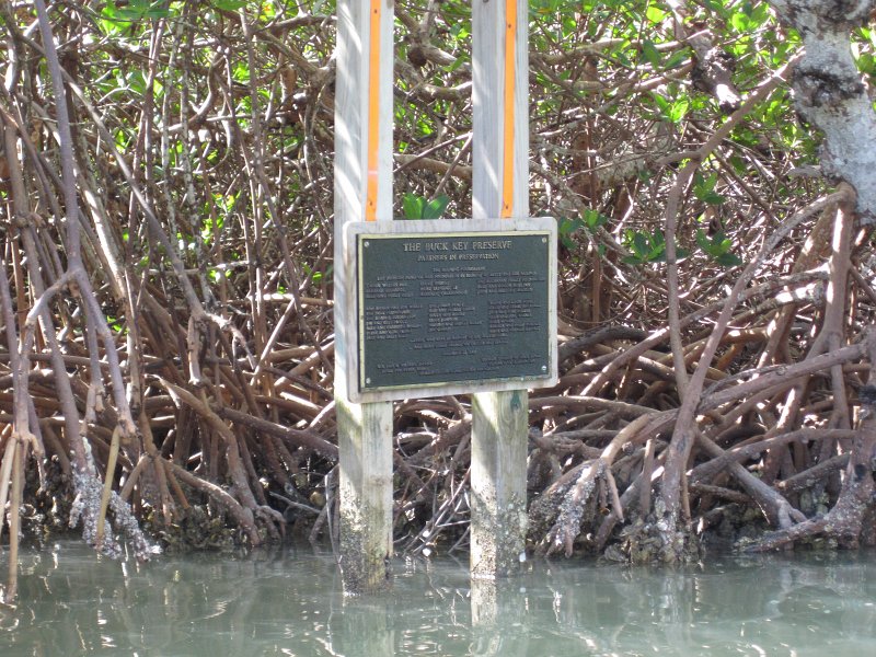 Sanibel022611-2096.jpg - Kayak Captiva Buck Key