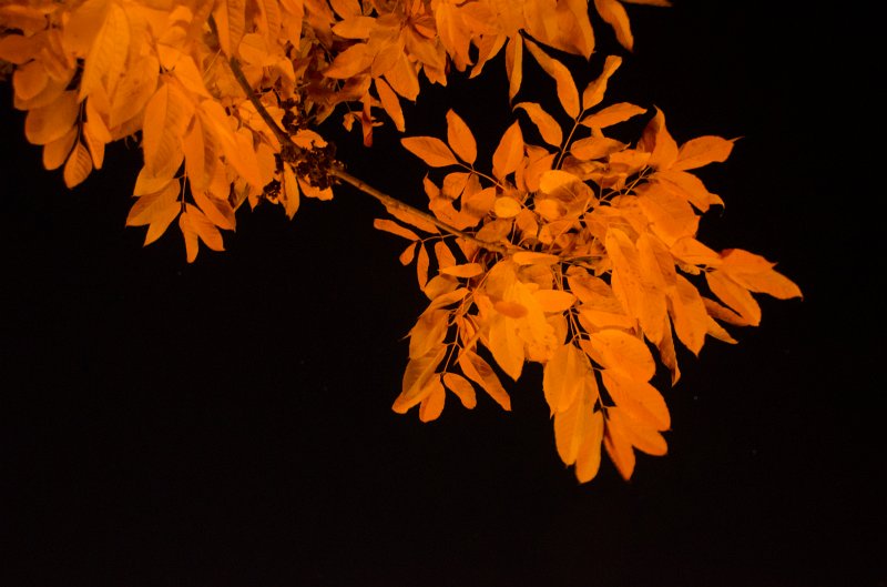 SueVickiBillVisitOct11-6277.jpg - Patio with Vicki, Sue, Bill