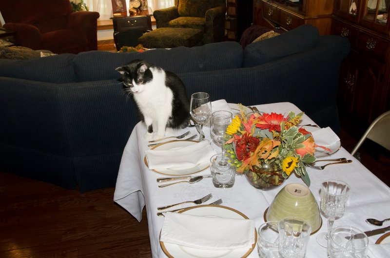 ThanksgivingNov2011-7309.jpg - Thanksgiving 2011