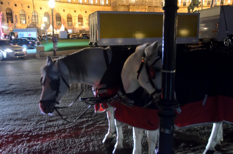 Vienna101311-6676.jpg - Horses on Heldenplatz