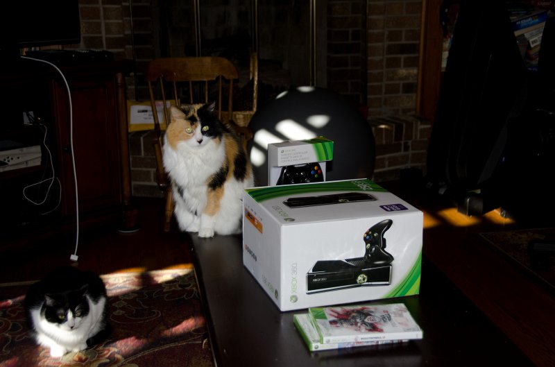 XmasDec11-7538.jpg - Mike, home from school, opens early Christmas present -- Xbox!!