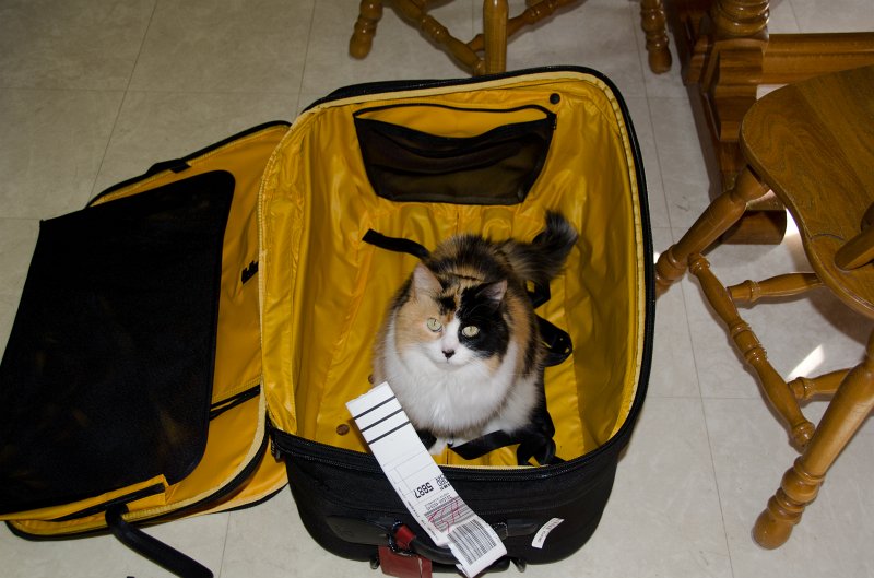 XmasDec11-7541.jpg - Mike, home from school, opens early Christmas present -- Xbox!!