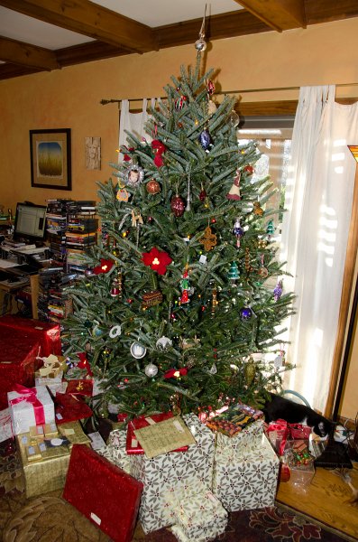 XmasDec11-7577.jpg - Christmas Eve pictures with the kitties