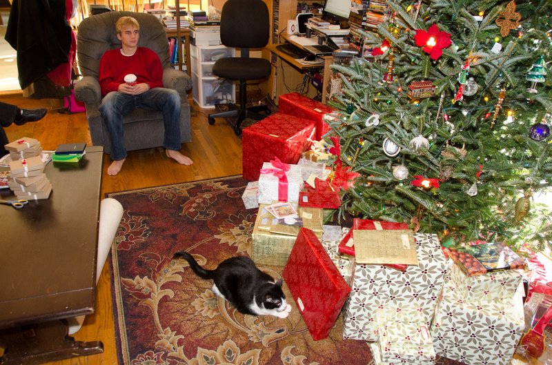 XmasDec11-7592.jpg - Christmas Eve pictures with the kitties