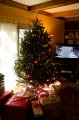 XmasDec11-7582