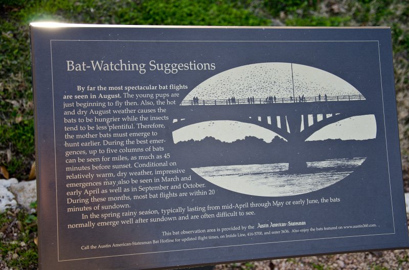 Austin012411-0444.jpg - Bat Colony:  Bat-Watching Suggestions