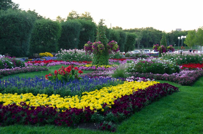 Regina081611-5141.jpg - Queen Elizabeth II Gardens