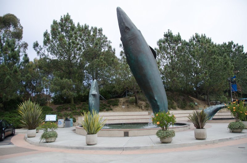 SanDiego062411-4651.jpg - Birch Aquarium