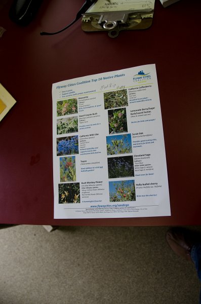 SanDiego062411-4512.jpg - Buena Vista Audubon Nature Center