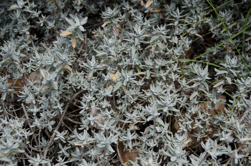 SanDiego062411-4517.jpg - Buena Vista Audubon Nature Center