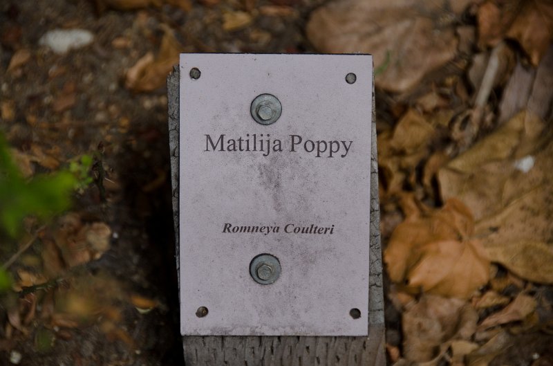 SanDiego062411-4519.jpg - Buena Vista Audubon Nature Center