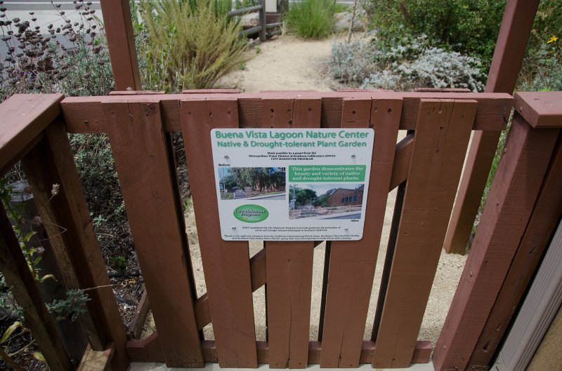 SanDiego062411-4524.jpg - Buena Vista Audubon Nature Center