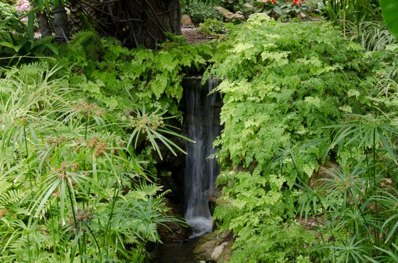 SanDiego062411-4569.jpg - Self-Realization Fellowship Meditation Gardens