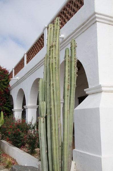 SanDiego062411-4750.jpg - Mission San Luis Rey,  Oceanside CA