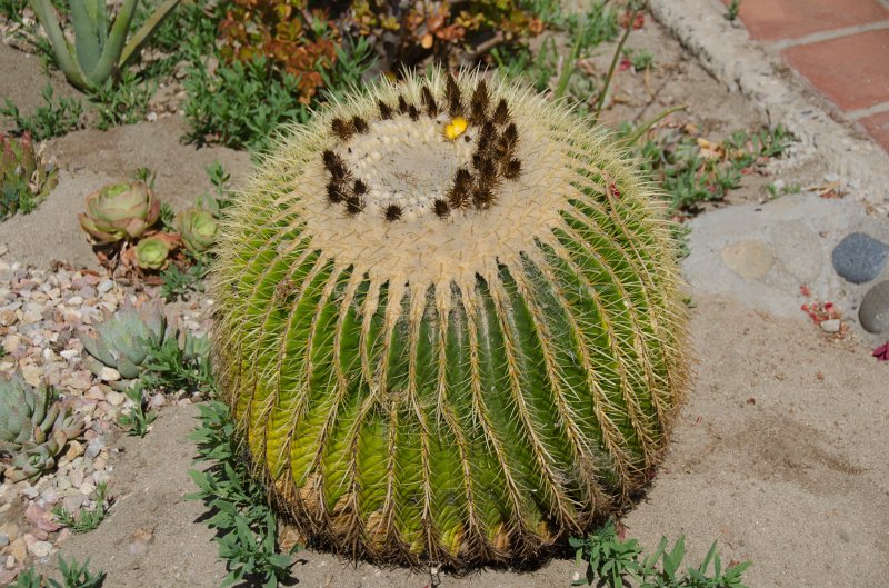 SanDiego062411-4872.jpg - Mission San Luis Rey