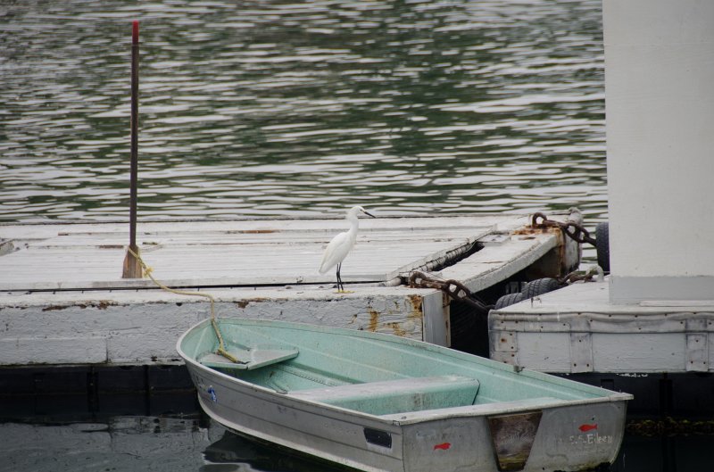 SanDiego062411-4414.jpg - Oceanside Harbor