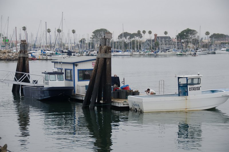 SanDiego062411-4416.jpg - Oceanside Harbor