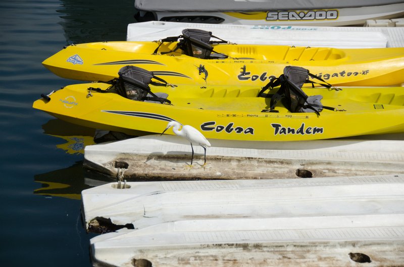 SanDiego062411-4444.jpg - Oceanside Harbor