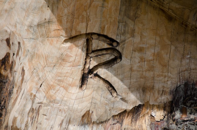 SanDiego062411-4592.jpg - Swami's Wood carving by Tim Richards