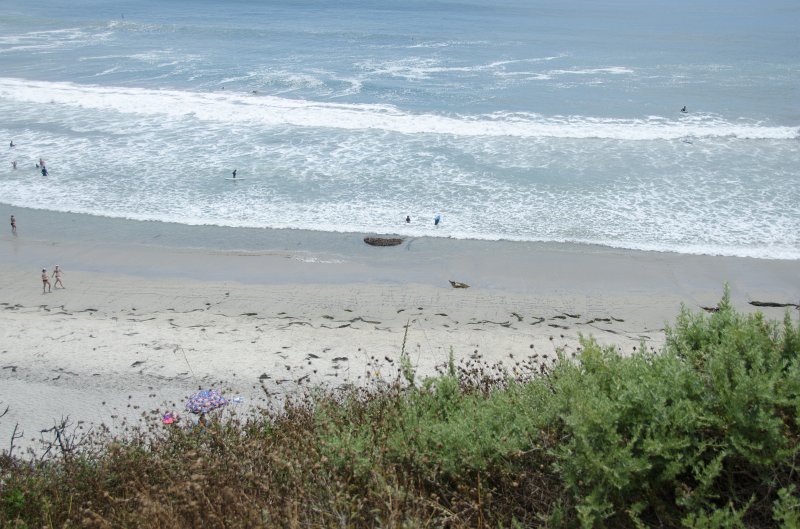 SanDiego062411-4598.jpg - Swami's Surfing Spot