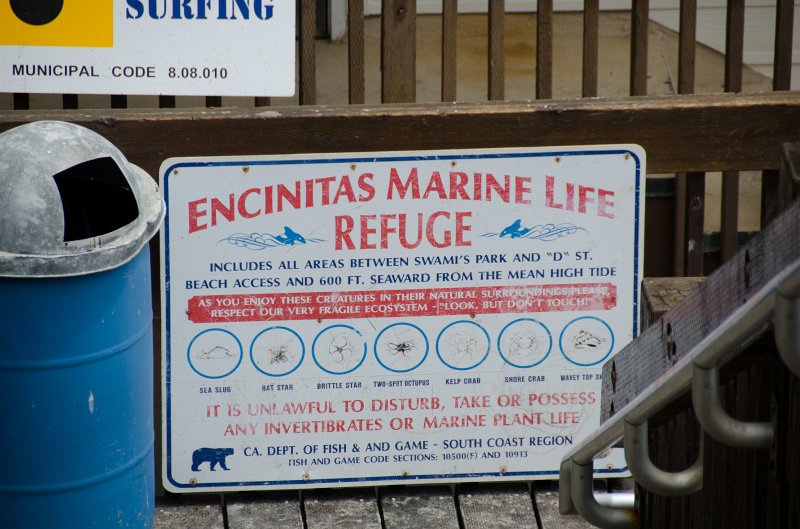 SanDiego062411-4604.jpg - Swami's Surfing Spot