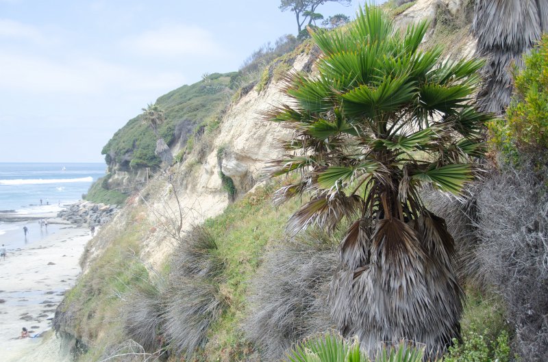 SanDiego062411-4607.jpg - Swami's Surfing Spot