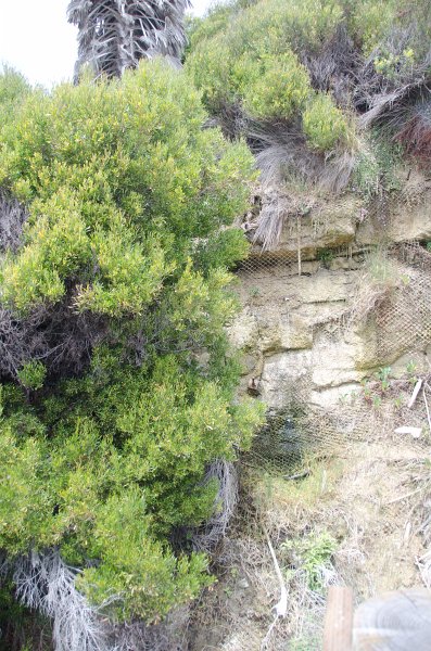 SanDiego062411-4608.jpg - Swami's Surfing Spot