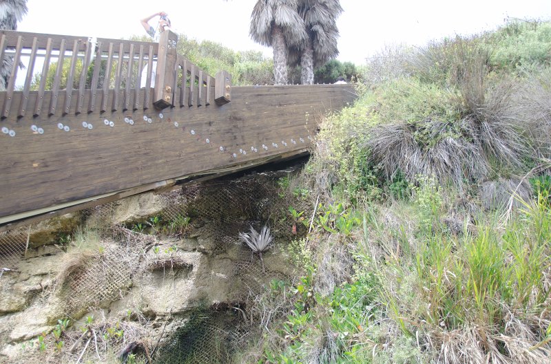 SanDiego062411-4609.jpg - Swami's Surfing Spot