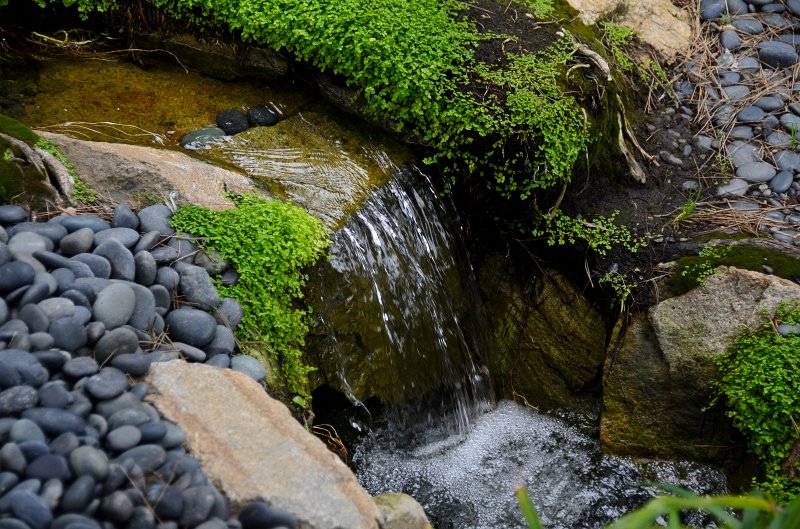 SanDiego062411-4552.jpg - Self-Realization Fellowship Meditation Gardens