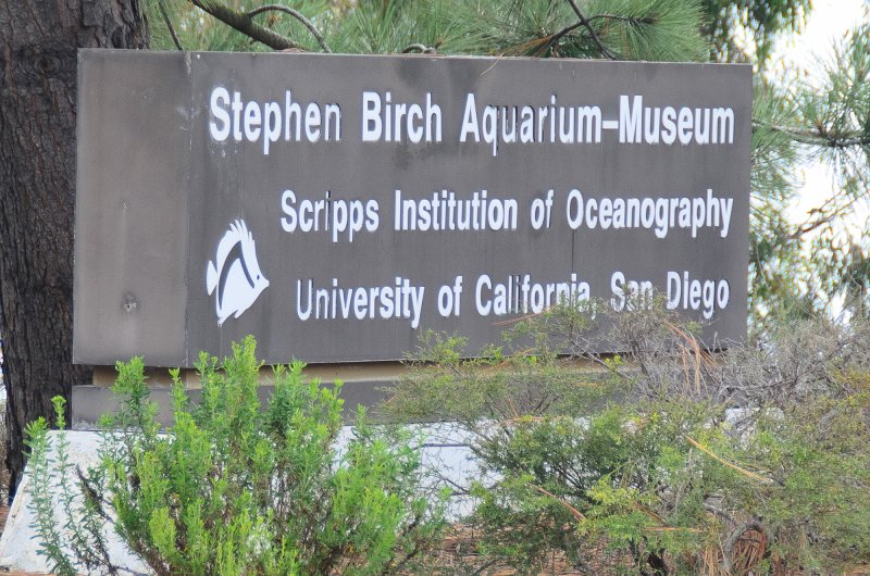 SanDiego062411-4648.jpg - Stephen Birch Aquarium-Museum. Scripps Institution of Oceanography, University of Californai, San Diego