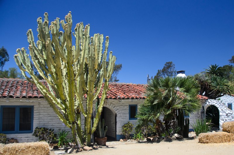 SanDiego062411-4921.jpg - Leo Carrillo Ranch Historic Park