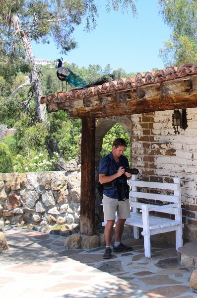 SanDiego062411-4936.jpg - Leo Carrillo Ranch Historic Park