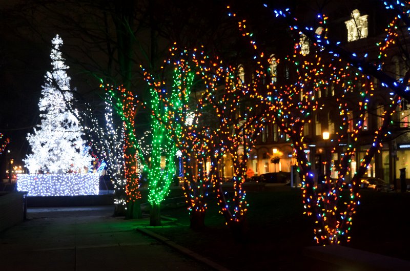 Toronto120611-7413.jpg - Berczy Park, Holiday Lights