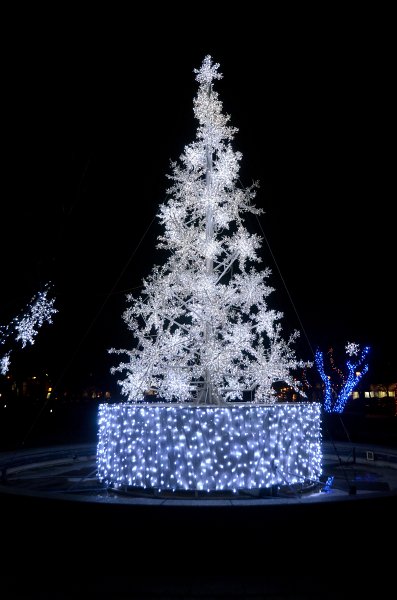 Toronto120611-7414.jpg - Berczy Park, Holiday Lights