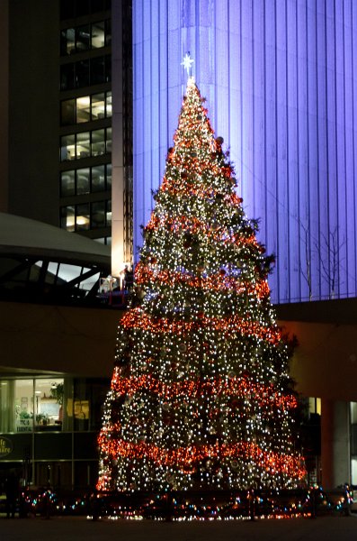 Toronto120611-7494.jpg - Toronto CIty Hall Holiday decorations
