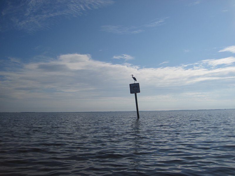 Captiva101812-4637.jpg - Kayak from McCarthy Marina, Captiva,  around Buck Key in Pine Island Sound