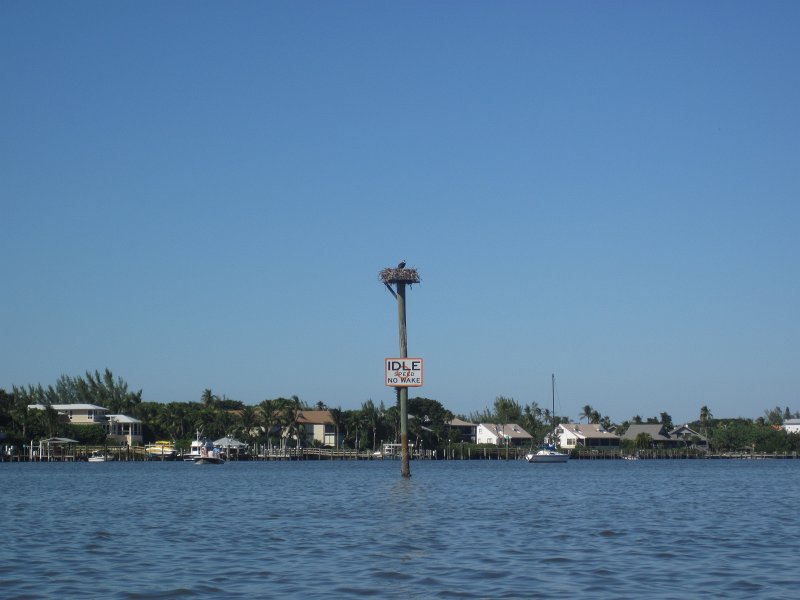 Captiva101812-4747.jpg - Kayak from McCarthy Marina, Captiva,  around Buck Key in Pine Island Sound, 3rd trip